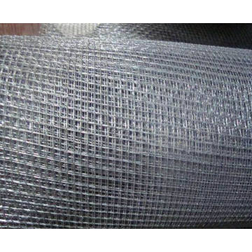 Galvanisieren Mesh, Wire Mesh, Square Wire Mesh